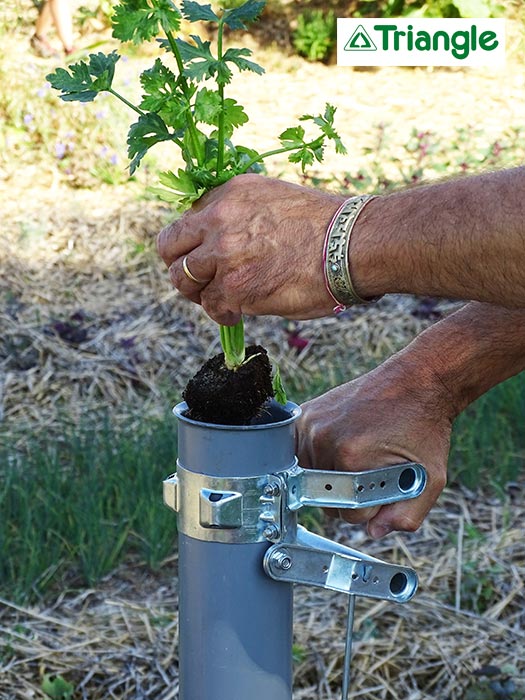 Canne à planter